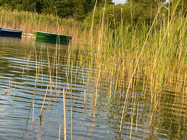 Umweltschutz Parsteinsee Kreis Uckermark, Brandenburg