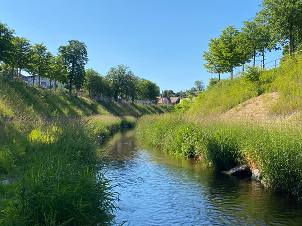 Vereinigte Weißeritz, Dresden Friedrichstadt/Cotta